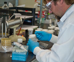 AlloSource employee in the Microbiology Lab / Courtesy: AlloSource
