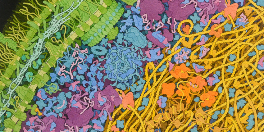 AI Detects Bugs in the Joint—No Culture Needed