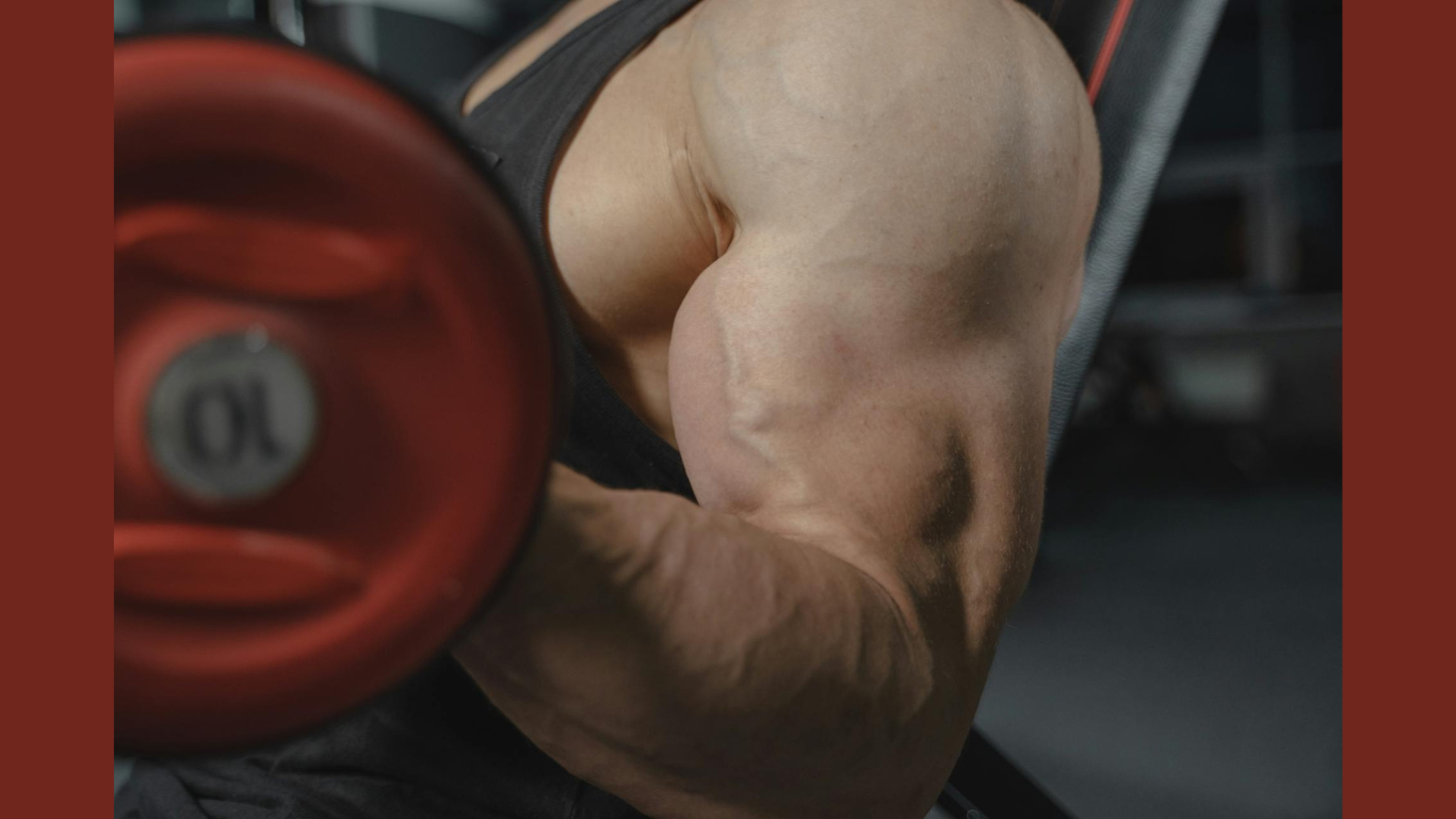 Blood Flow Restriction and Accelerating Muscle Repair